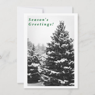 Cartes Pour Fêtes Annuelles Majestueux Hiver en Noir et Blanc, Personnalisé