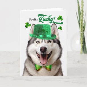 Cartes Pour Fêtes Annuelles Malamute Dog Feelin' Lucky St Patrick's Day