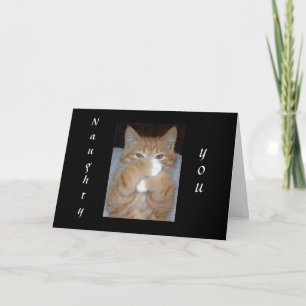 CARTES POUR FÊTES ANNUELLES MALGRÉ VOUS-LUCKY ME NOËL AMOUR