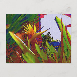 Cartes Pour Fêtes Annuelles Malibu California Bird of paradise