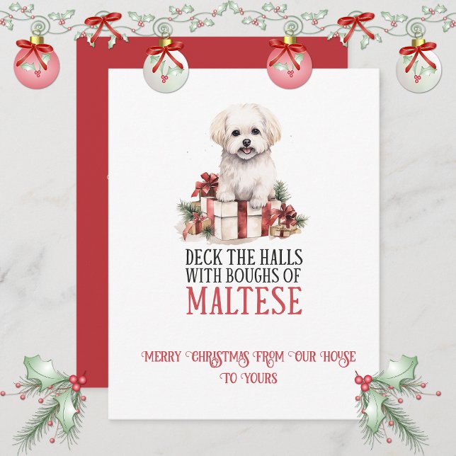 Cartes Pour Fêtes Annuelles Maltese Whimsical Christmas | (Créateur téléchargé)