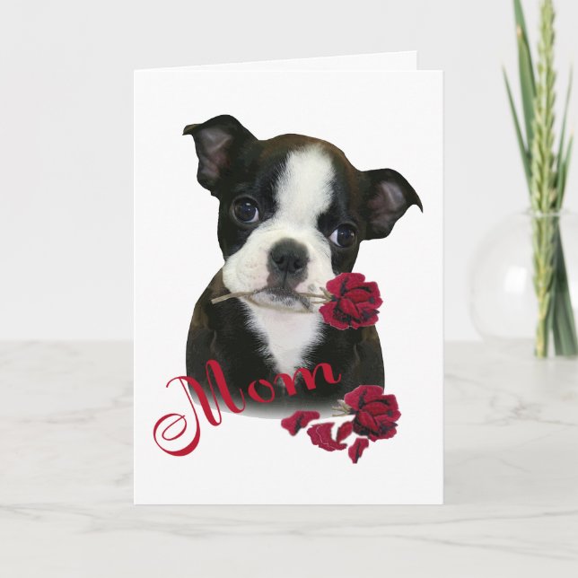 Cartes Pour Fêtes Annuelles Maman de Boston Terrier (Devant)