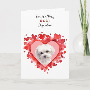 Cartes Pour Fêtes Annuelles Maman de chien maltais à cœur rouge remue ma queue