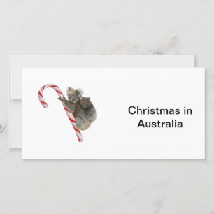 Cartes Pour Fêtes Annuelles Maman et Joey Koala Sucre de canne Noël