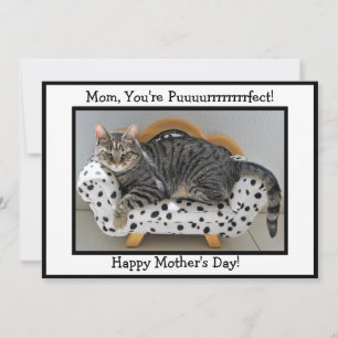 Cartes Pour Fêtes Annuelles Maman, tu es Puurrfect ! Fête des mères de chats d