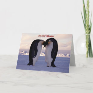 Cartes Pour Fêtes Annuelles Manchot empereur embrassant la Saint-Valentin'...