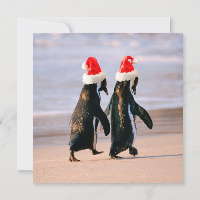 Cartes Pour Fêtes Annuelles Manchots en chapeaux de Père Noël sur la plage (Devant)