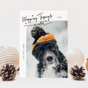 Cartes Pour Fêtes Annuelles Marche à travers la photo de chien d'hiver Noël bl