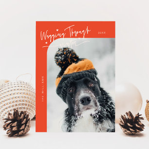 Cartes Pour Fêtes Annuelles Marche à travers la photo de chien d'hiver Noël ro