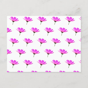 Cartes Pour Fêtes Annuelles Marguerite rose 