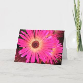 Cartes Pour Fêtes Annuelles Marguerites roses lumineuses