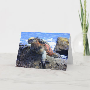 Cartes Pour Fêtes Annuelles Marine Iguana