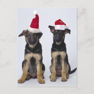Cartes Pour Fêtes Annuelles Marionnettes avec chapeaux santa