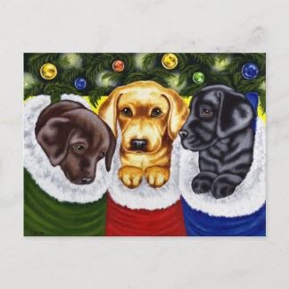 Cartes Pour Fêtes Annuelles Marionnettes de Noël Surprise Labrador