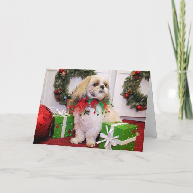Cartes Pour Fêtes Annuelles Marley - Shih Tzu - Robbins (Devant)