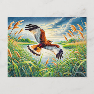 Cartes Pour Fêtes Annuelles Marsh Harrier sur le lac Reedlits