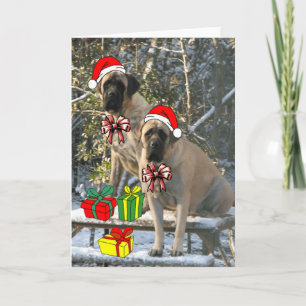 Cartes Pour Fêtes Annuelles Mastiff Christmas Card