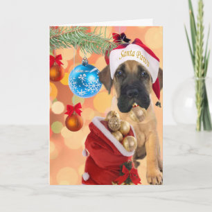 Cartes Pour Fêtes Annuelles Mastiff Puppy Joyeux Noël