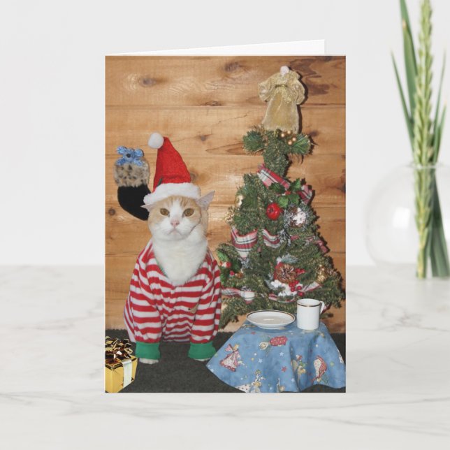Cartes Pour Fêtes Annuelles Matin drôle de chat/Noël de Kitty (Devant)
