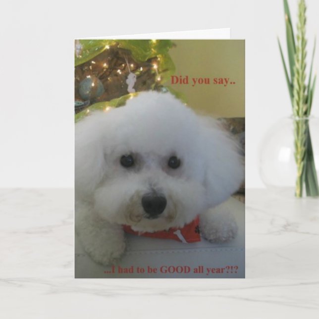 Cartes Pour Fêtes Annuelles "M'avez-vous dit dû être BONS toute l'année ? " (Devant)