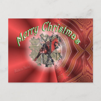 Cartes Pour Fêtes Annuelles Mc-personnaliser de Redbird
