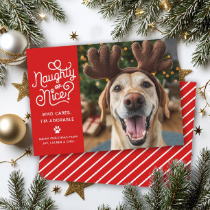 Cartes Pour Fêtes Annuelles Méchants ou Gentils Photo de Chien Chat Drôle et M