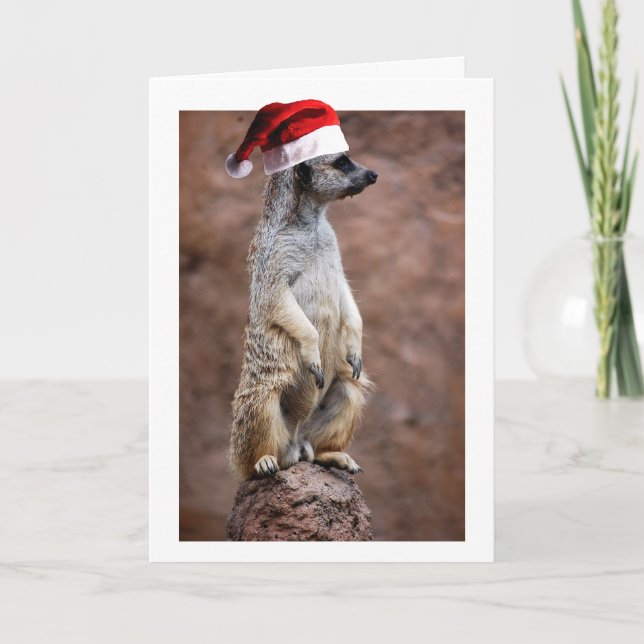 Cartes Pour Fêtes Annuelles MeerKat de Noël (Devant)