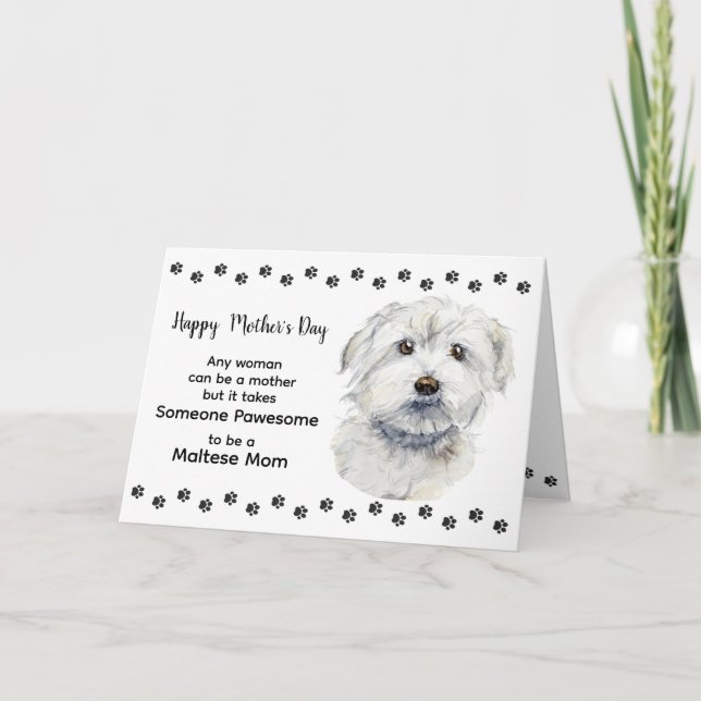 Cartes Pour Fêtes Annuelles Meilleure maman de chien maltais personnalisée Fêt (Devant)