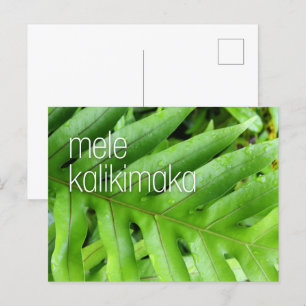 Cartes Pour Fêtes Annuelles Mele Kalikimaka Joyeux Noël