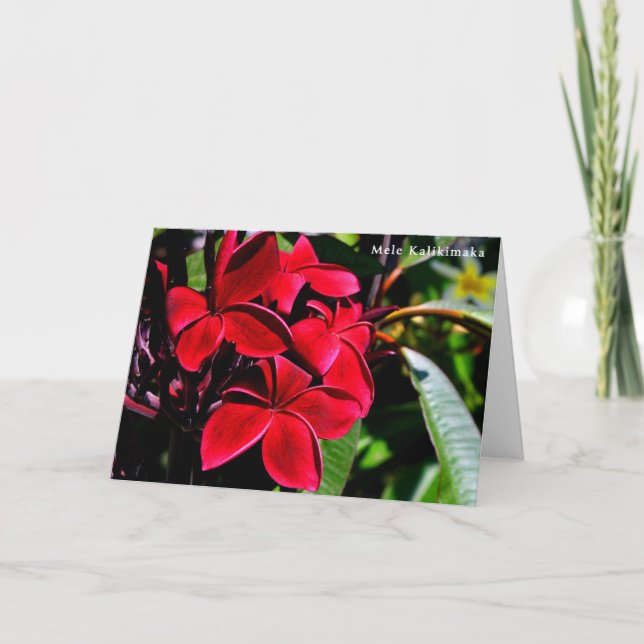 Cartes Pour Fêtes Annuelles Mele Kalikimaka Plumeria (Devant)