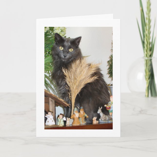 Cartes Pour Fêtes Annuelles Meow-y Christmas (Devant)