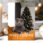 Cartes Pour Fêtes Annuelles MeowChristmas Funny Script Moderne Pet Cat Photo<br><div class="desc">Meowy Christmas Funny Script Moderne Pet Cat Photo Holiday Card. Personnalisez ce design personnalisé avec votre propre photo,  texte et couleurs.</div>