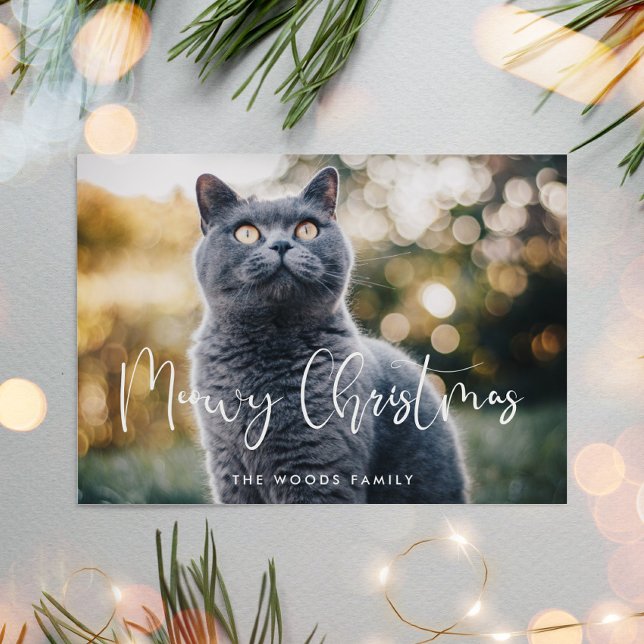 Cartes Pour Fêtes Annuelles Meowny Christmas Élégante Calligraphie Cat Photo (Créateur téléchargé)