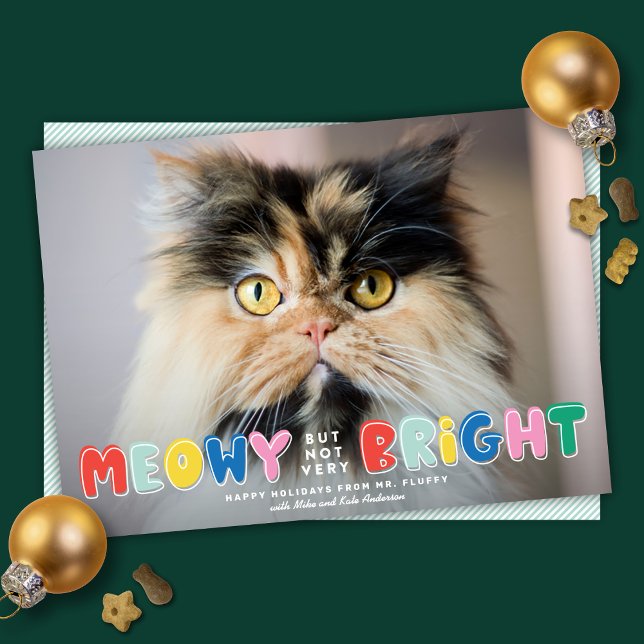Cartes Pour Fêtes Annuelles Meowny mais pas très brillant jolie photo de chat (Créateur téléchargé)
