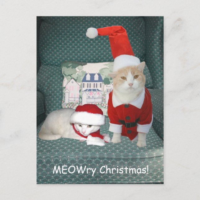 Cartes Pour Fêtes Annuelles MEOWry Noël ! (Devant)