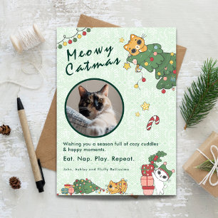 Cartes Pour Fêtes Annuelles Meowy Catmas Photo de Noël de chat mignon