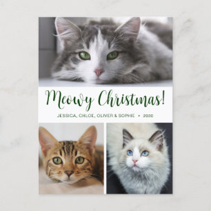 Cartes Pour Fêtes Annuelles Meowy Christmas 3 Photo