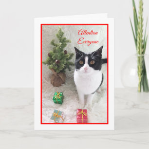 Cartes Pour Fêtes Annuelles Meowy Christmas Cat Card — Attention à tous