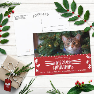 Cartes Pour Fêtes Annuelles Méowy Christmas Cat Holiday Photo