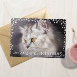 Cartes Pour Fêtes Annuelles Meowy Christmas Cat Lover Holiday Photo Card<br><div class="desc">Send this "meowy Christmas" card out this Christmas season and share your four baby's face with your loved ones. After all, your cat is part of the Famy! Customize this card with a horizontal format, full bleed Photo of your pet and the text of your Choce on the front. Add...</div>