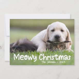 Cartes Pour Fêtes Annuelles Meowy Christmas Chat Chien de famille Photo