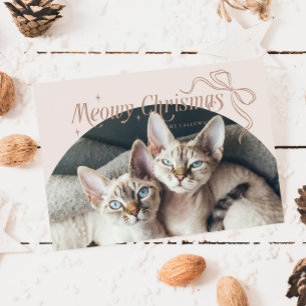 Cartes Pour Fêtes Annuelles Meowy Christmas Chat Photo Beige Holiday Card