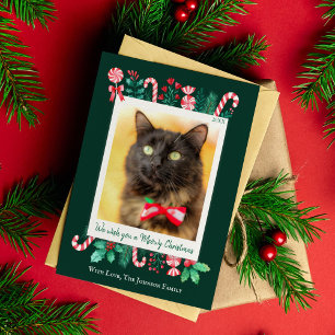 Cartes Pour Fêtes Annuelles Meowy Christmas Chat Photo Noël