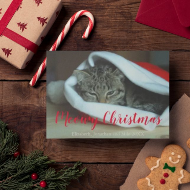 Cartes Pour Fêtes Annuelles Meowy Christmas Chat Photo Noël (Créateur téléchargé)