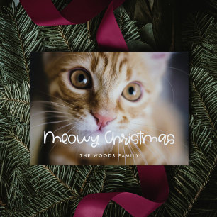 Cartes Pour Fêtes Annuelles Meowy Christmas Cute Cat Photo