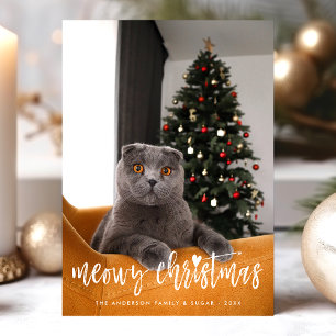 Cartes Pour Fêtes Annuelles Meowy Christmas Funny Modern Script Pet Cat Photo