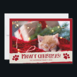 Cartes Pour Fêtes Annuelles Meowy Christmas Pet Cat Photo Christmas Card<br><div class="desc">La carte de vacances de Noël Meowy est une façon mignonne de présenter une photo de votre animal de compagnie. Personnalisez avec votre photo et votre texte.</div>