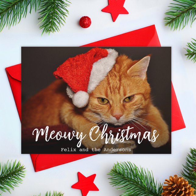 Cartes Pour Fêtes Annuelles Meowy Christmas Pet Photo Chat avec chapeau de Pèr (Créateur téléchargé)