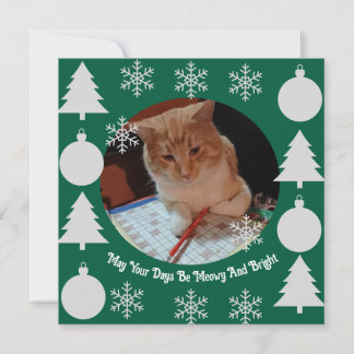 Cartes Pour Fêtes Annuelles Meowy et lumineux, Photo de chat, Noël 