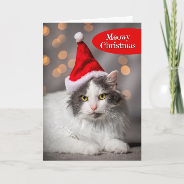 Cartes Pour Fêtes Annuelles Meowy Joyeux Noël Pour Tout Adorable Chat en Père  (Devant)